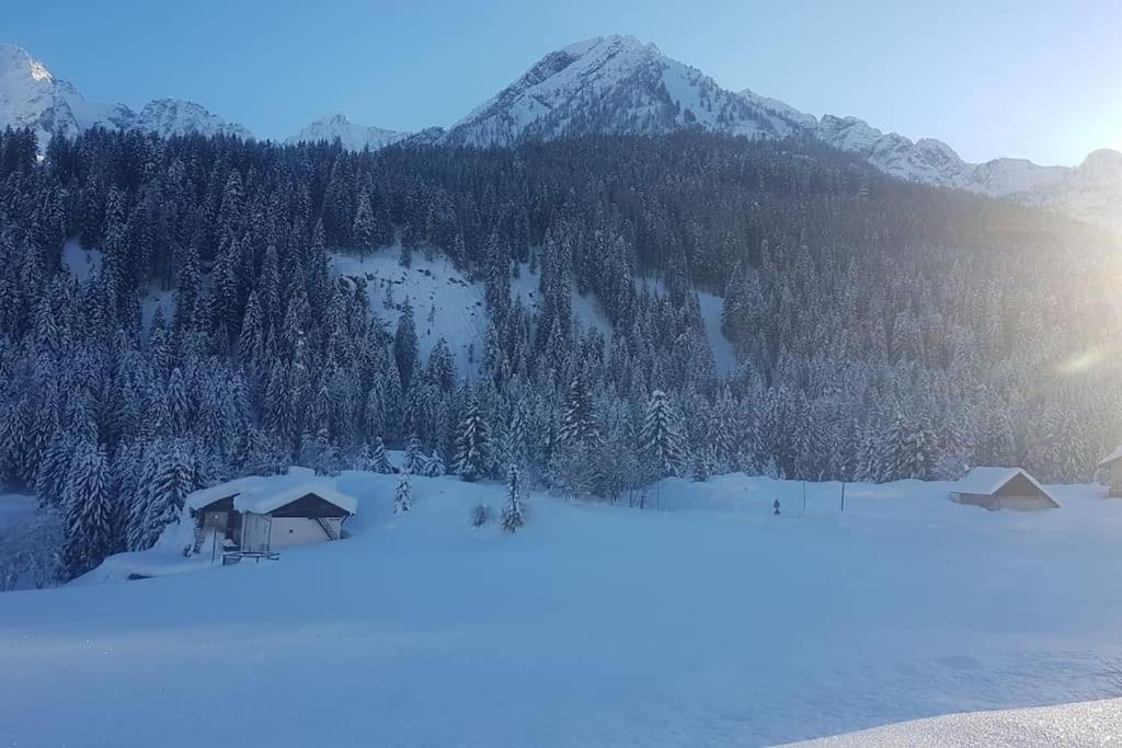 Villa Chalet Rustico Bertolini Per Gruppi! Vermiglio Exterior foto