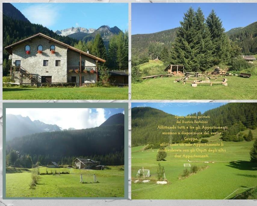 Villa Chalet Rustico Bertolini Per Gruppi! Vermiglio Exterior foto