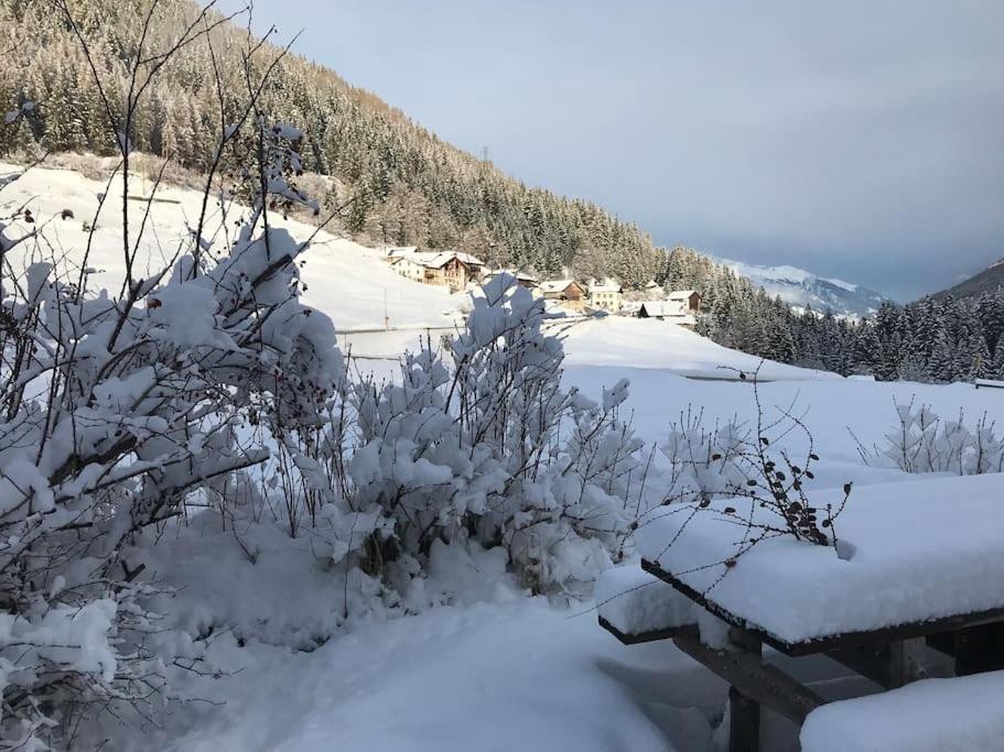 Villa Chalet Rustico Bertolini Per Gruppi! Vermiglio Exterior foto