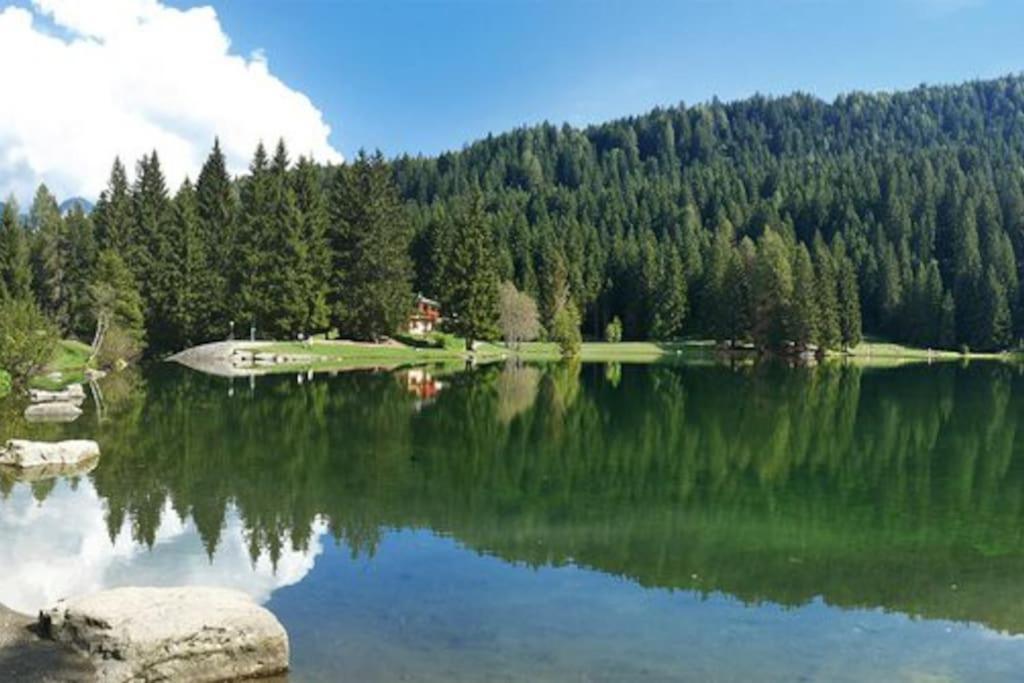 Villa Chalet Rustico Bertolini Per Gruppi! Vermiglio Exterior foto