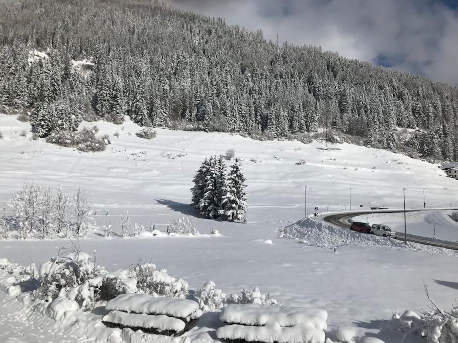Villa Chalet Rustico Bertolini Per Gruppi! Vermiglio Exterior foto